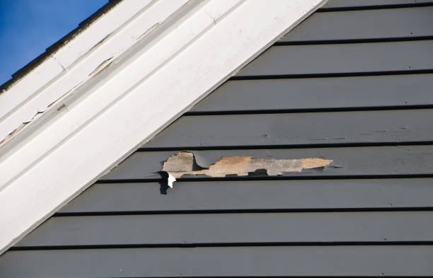 Best Foreclosure Cleanout  in Hagerstown, IN